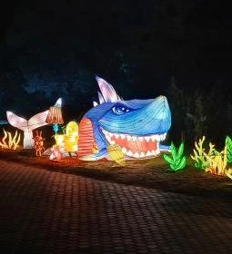 Garden of Lights Debrecen ZOO