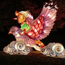 Garden of Lights Debrecen ZOO, Debrecen - Egyéb