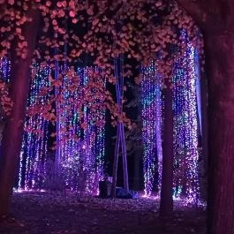 Garden of Lights Debrecen ZOO, Debrecen - Egyéb