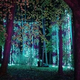 Garden of Lights Debrecen ZOO, Debrecen - Egyéb