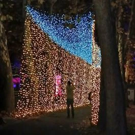 Garden of Lights Debrecen ZOO, Debrecen - Egyéb