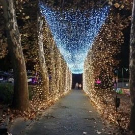 Garden of Lights Debrecen ZOO, Debrecen - Egyéb