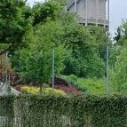 Nagyerdei Víztorony Kávézó & Fröccsbár Debrecen - Egyéb