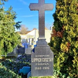 Nemzeti Sírhely, Szajol - Egyéb