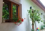 Notte Trattoria Zsámbék