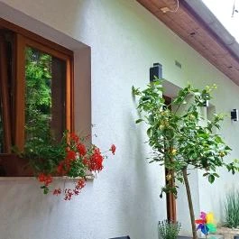 Notte Trattoria Zsámbék - Egyéb