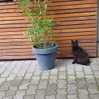 Notte Trattoria Zsámbék - Egyéb