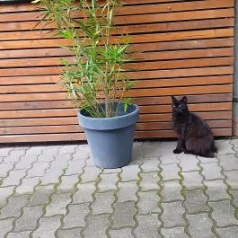 Notte Trattoria Zsámbék - Egyéb