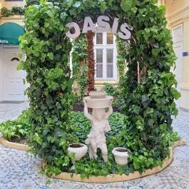 Oasis Inn Budapest, Budapest - Medence/kert