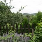 Oázis Étterem Tihany - Egyéb