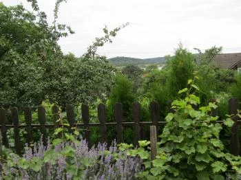 Oázis Étterem Tihany