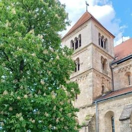 Ócsai református templom, Ócsa - Egyéb