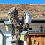 Öreg Prés Étterem Mór - Egyéb