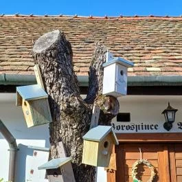 Öreg Prés Étterem Mór - Egyéb