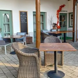 Őri Art Inn Panzió Ôriszentpéter - Egyéb