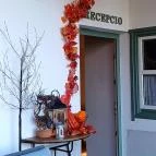 Őri Art Inn Panzió Ôriszentpéter - Egyéb