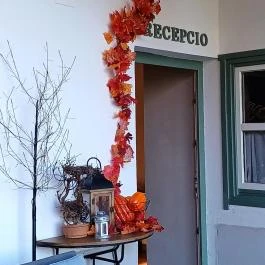 Őri Art Inn Panzió Ôriszentpéter - Egyéb