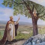 Oroszlános Borhotel & Étterem Tállya - Egyéb