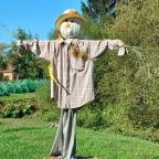 Őrségi Tökfesztivál Ôriszentpéter - Egyéb