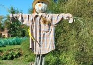 Őrségi Tökfesztivál Ôriszentpéter