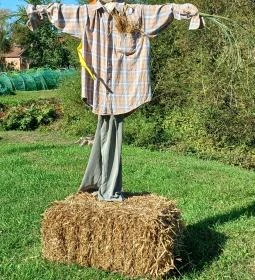 Őrségi Tökfesztivál