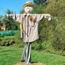 Őrségi Tökfesztivál Ôriszentpéter - Egyéb