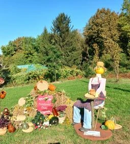 Őrségi Tökfesztivál