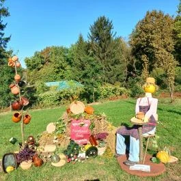 Őrségi Tökfesztivál Ôriszentpéter - Egyéb