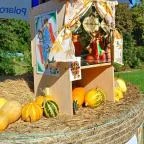 Őrségi Tökfesztivál Ôriszentpéter - Egyéb