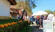 Őrségi Tökfesztivál Ôriszentpéter - Egyéb