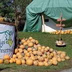 Őrségi Tökfesztivál Ôriszentpéter - Egyéb