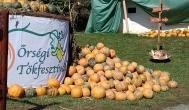 Őrségi Tökfesztivál Ôriszentpéter - Egyéb