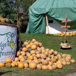 Őrségi Tökfesztivál Ôriszentpéter - Egyéb