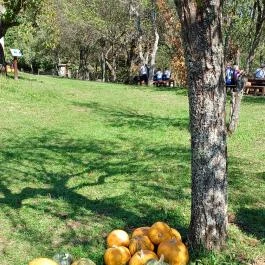 Őrségi Tökfesztivál Ôriszentpéter - Egyéb