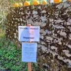 Őrségi Tökfesztivál Ôriszentpéter - Egyéb