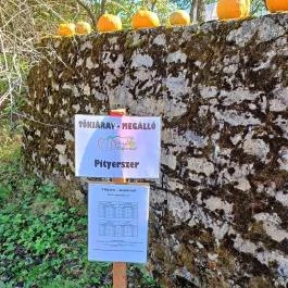 Őrségi Tökfesztivál Ôriszentpéter - Egyéb