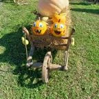 Őrségi Tökfesztivál Ôriszentpéter - Egyéb