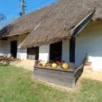 Őrségi Tökfesztivál Ôriszentpéter - Egyéb