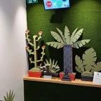 Padthai Wokbar - Teréz körút Budapest - Egyéb