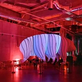 Pannon Park - Biodóm, Budapest - Egyéb