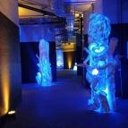 Pannon Park - Biodóm Budapest - Egyéb