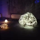 Pannon Park - Biodóm Budapest - Egyéb