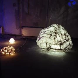 Pannon Park - Biodóm, Budapest - Egyéb