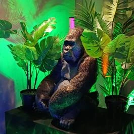 Pannon Park - Biodóm, Budapest - Egyéb