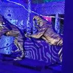 Pannon Park - Biodóm Budapest - Egyéb