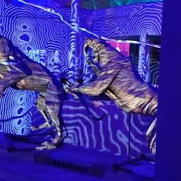 Pannon Park - Biodóm, Budapest - Egyéb