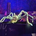 Pannon Park - Biodóm Budapest - Egyéb