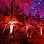 Pannon Park - Biodóm Budapest - Egyéb