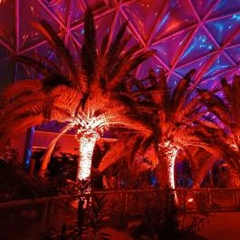 Pannon Park - Biodóm, Budapest - Egyéb