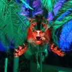 Pannon Park - Biodóm Budapest - Egyéb